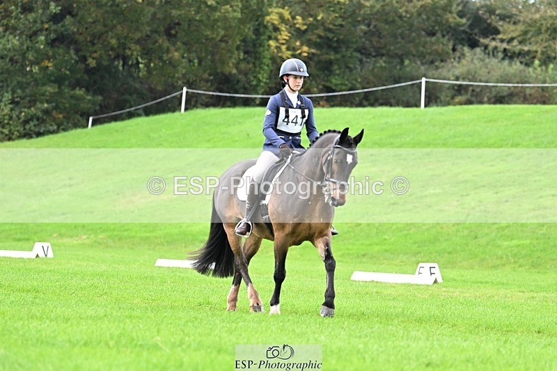 241025-092913-05800 - 441-Molly.Swain-SOCKS