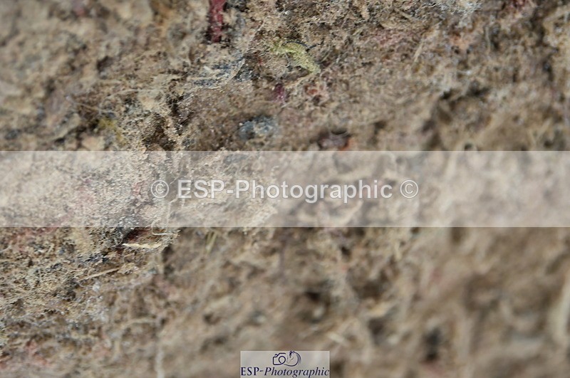 220829A-173810-00472 - 80cm Classes 5a 5b & 6