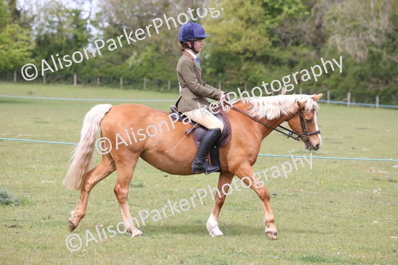 20260426-2899 - Class 33 - Best Pony 14.2hh and Under