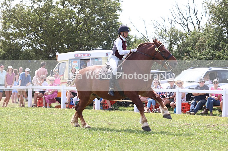 JPP_3503 - Class 15: Heavy Horse Ridden