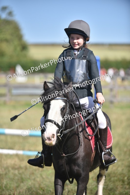 20260906-1687 - Class 9 - Absolute Novice Jumping 45cm