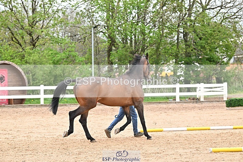 250423-160934-01992 - 4pm to 5pm