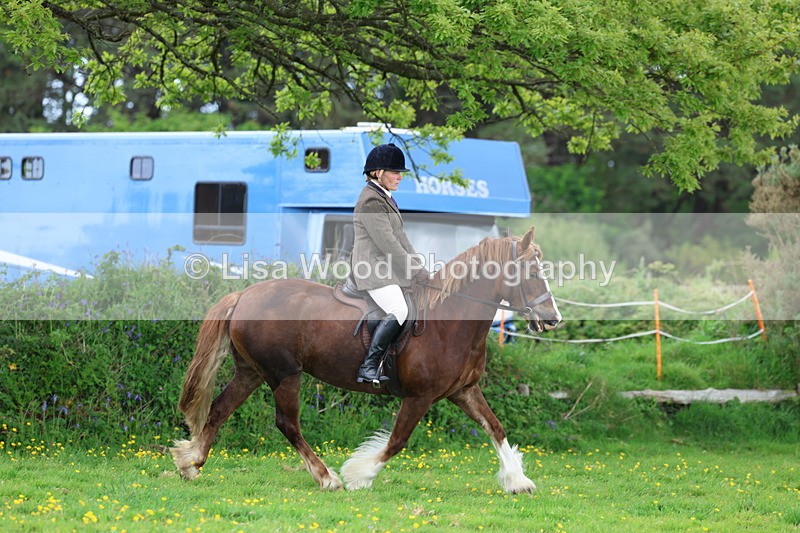 3E7A0654 - Class 5: Ridden M & M Senior