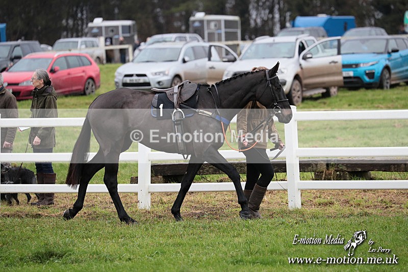PtP 011224 3 - Hursley Hambledon Point-to-Point Larkhill 01/12/24