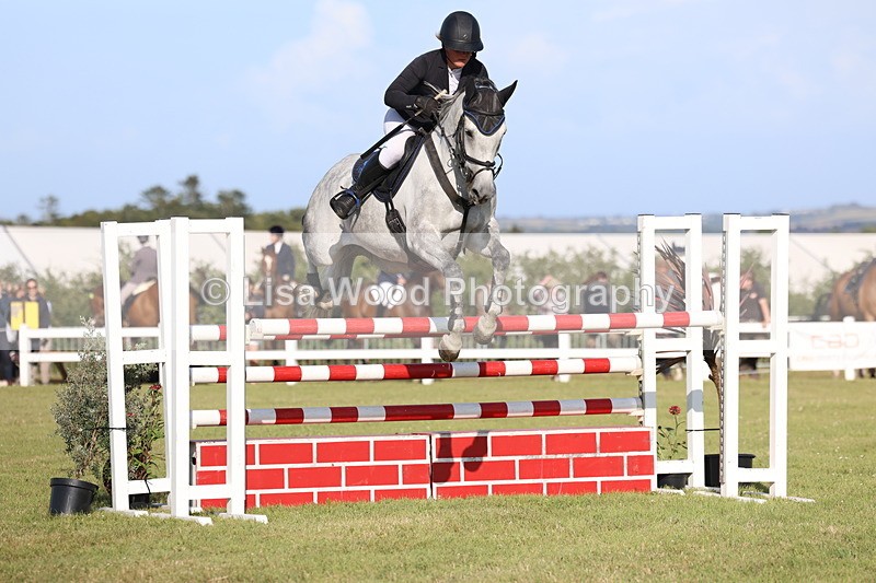 3E7A4474 - Class C: Showjumping Senior Foxhunter
