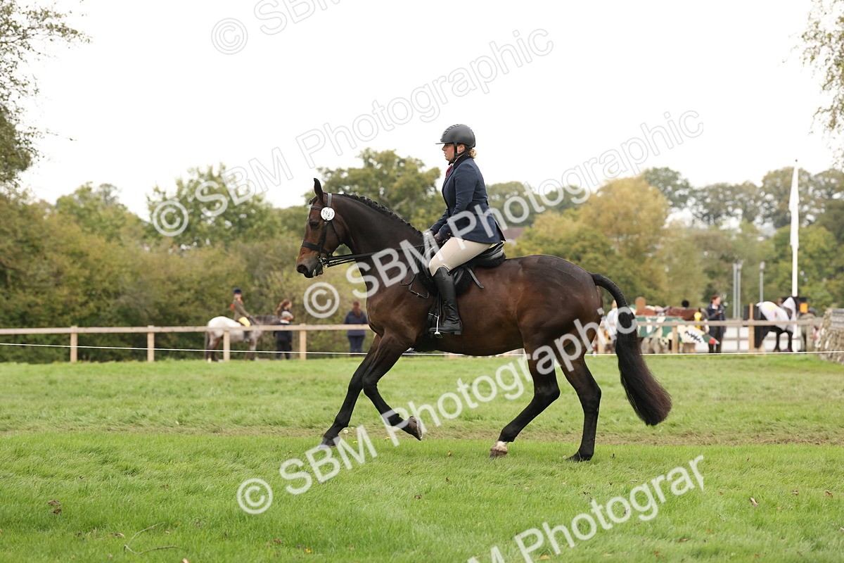 SBM_63014 - S64 - Foreign Breeds Ridden