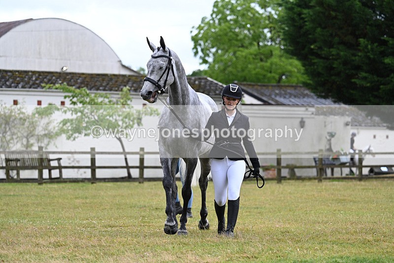 WJ7_6045 - Class 4a Prettiest Mare over 14hh