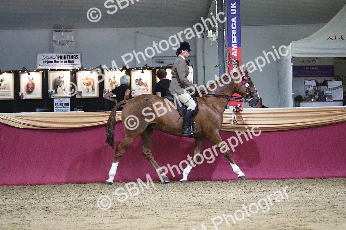 SBM_08438 - Class 11R Regional Ridden Veteran