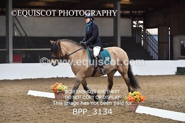 BPP_3134 - INTRO TEST 3