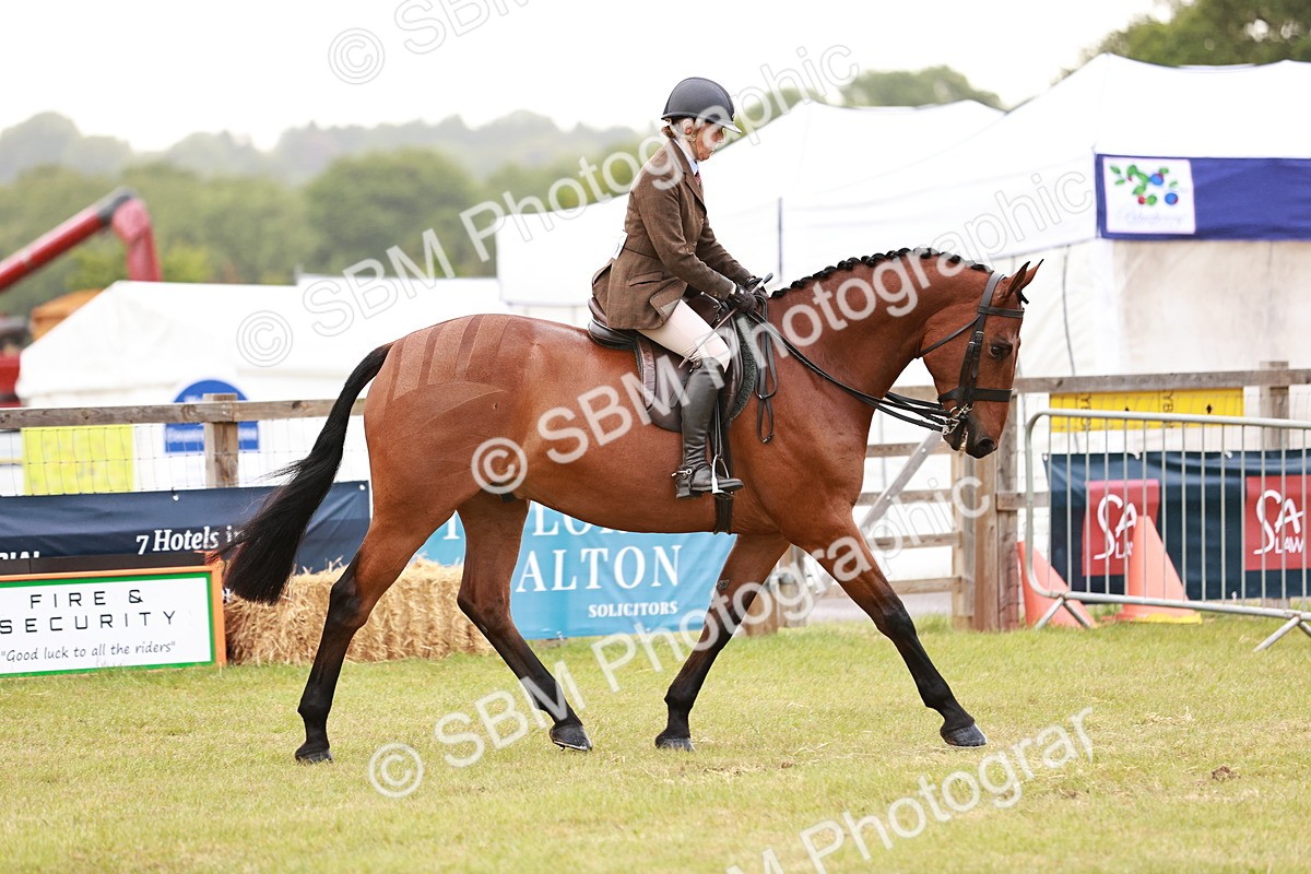 SBM_10740 - Class 81-84 - RIHS Ridden hunters Inc Ladies Hunter