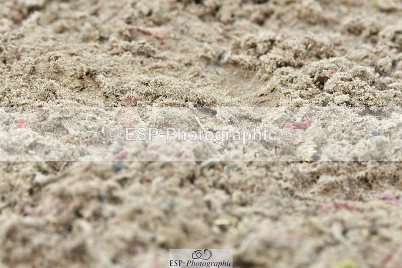 230804A-110135-02110 - Musical Ride