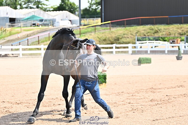 240718A-105237-00941 - Trot Up 11am to 12pm