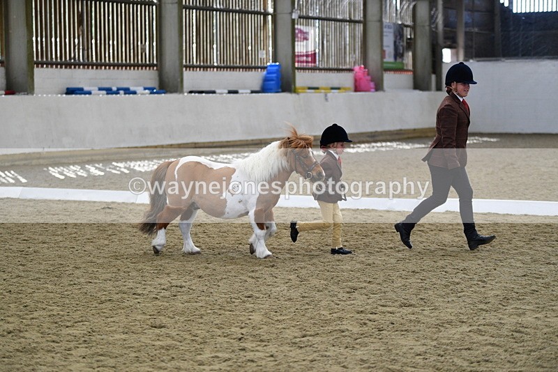 WJ5_4915 - Class 7 In hand coloured / odd coloured