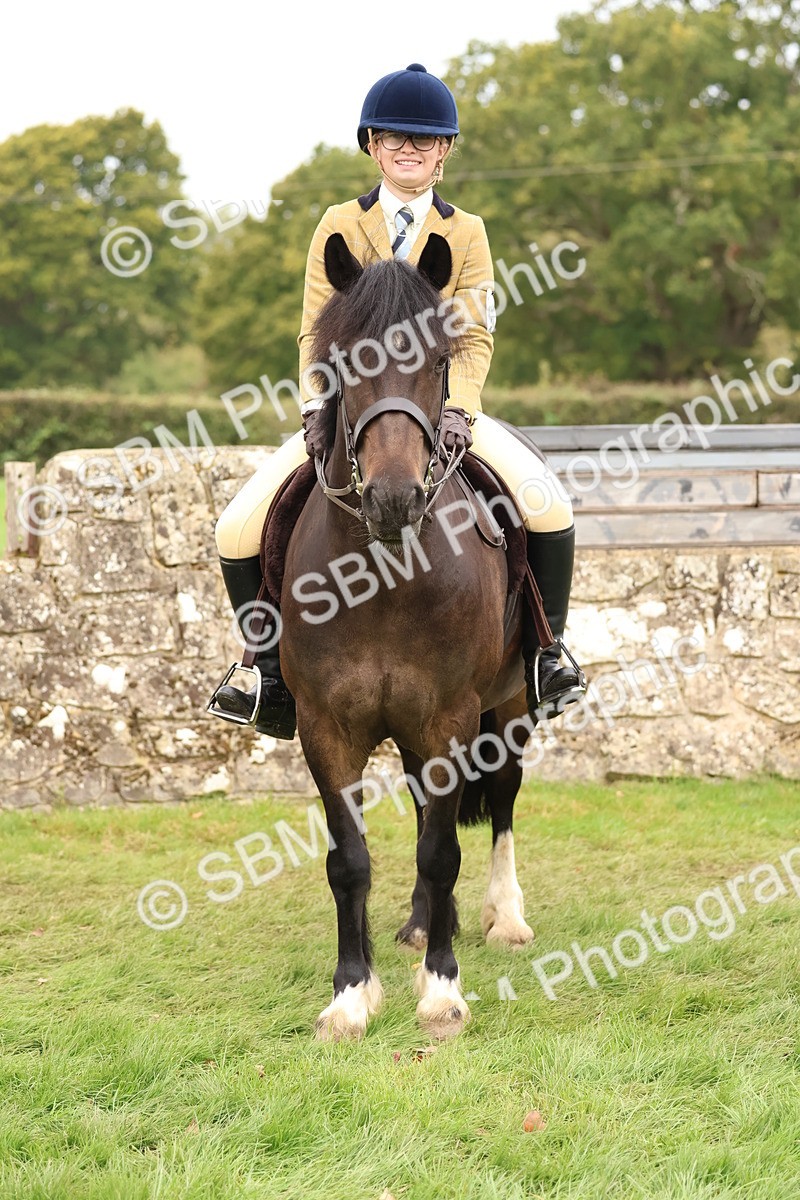 SBM_59934 - S36 - Rehabiliated Rescue Horse & Pony In Hand & Ridden