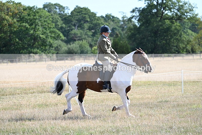 WJ7_2818 - Class 8 Ridden Tack & Turnout