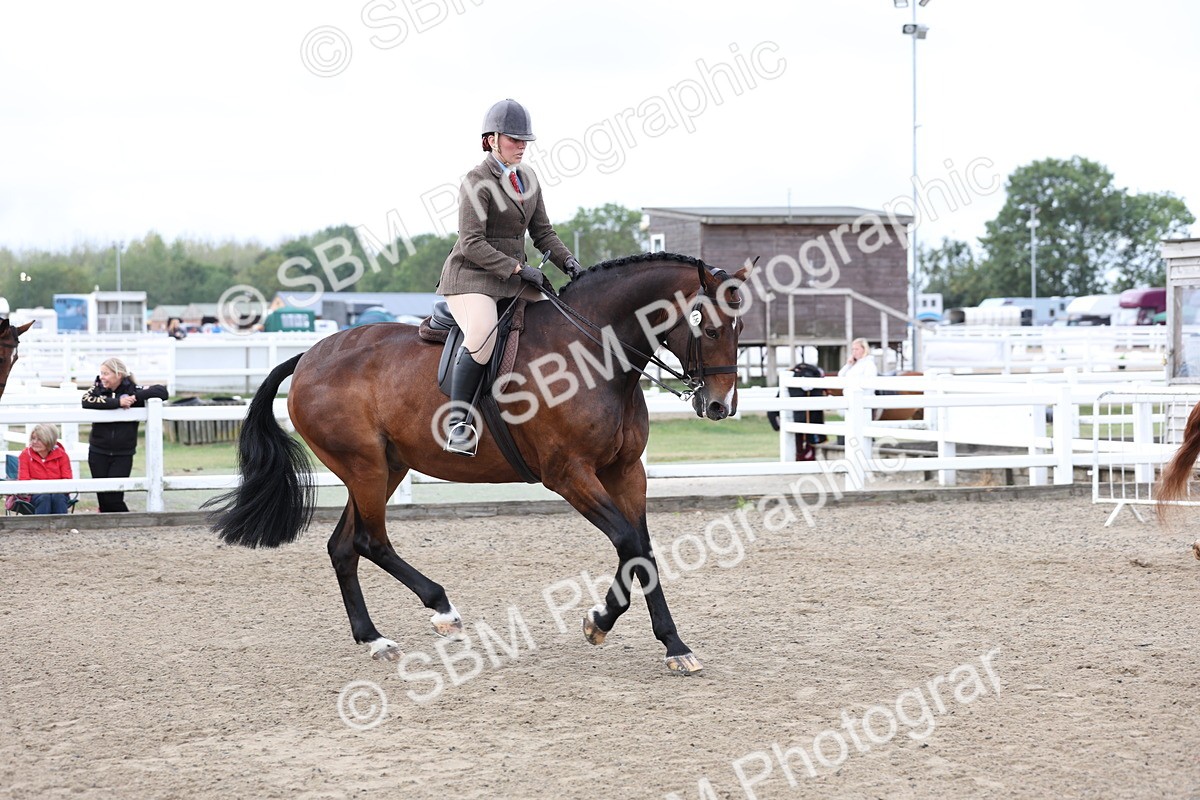 SBM_01487 - Class 52 - Ridden Veteran