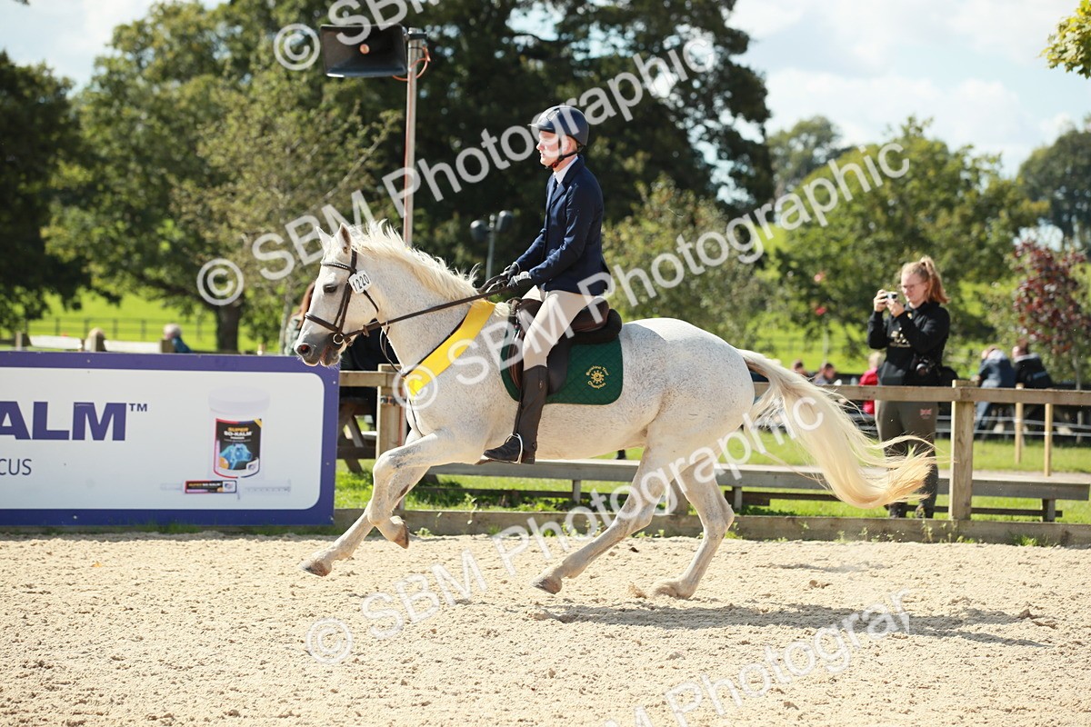 SBM_25470 - J28 Senior 60cm Championship