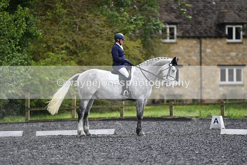 WJ5_2217 - Time 15:05 to 15:30