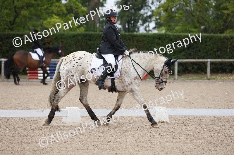 20250820-0282 - Class 9 - My Quest Prelim 3