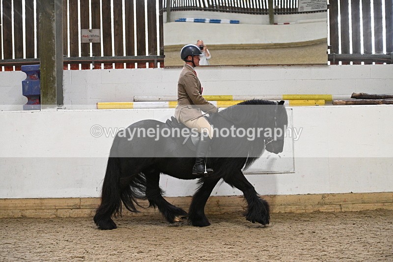 WJ7_4502 - Afternoon Champs