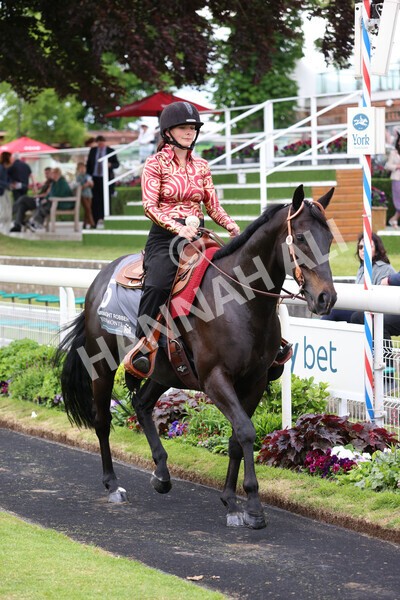 yr22052022r8e-56 - ROR - Parade Ring York