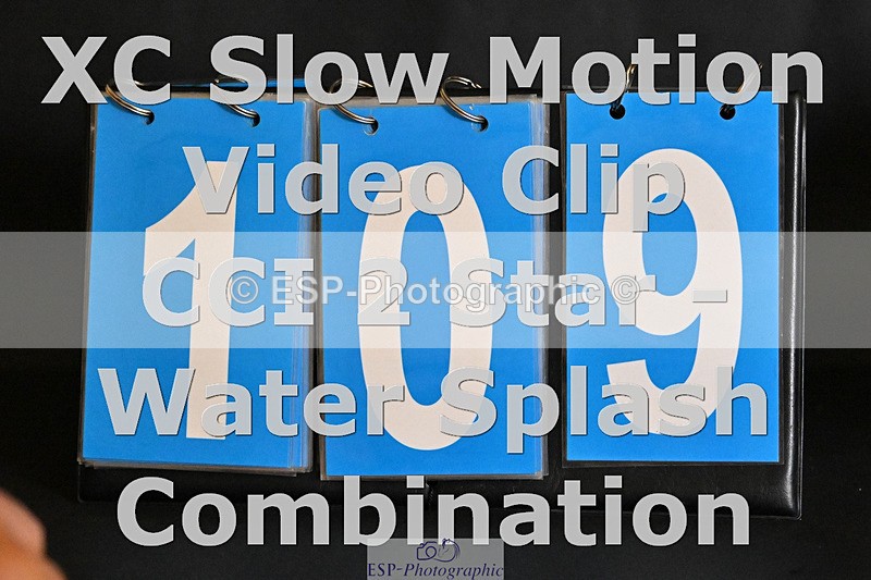 241025-185642-10857 - 109-Amber.Williams-THE.EMERALD.LILY