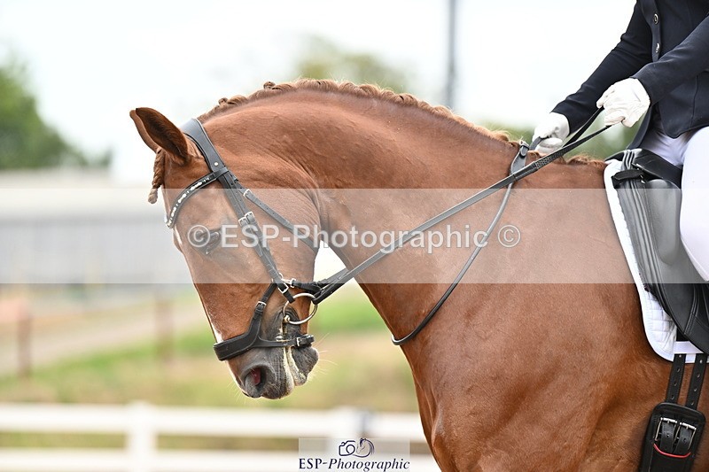 240817A-152038-10063 - 223-Pippa.Knight-KFS.Boston.Burglar