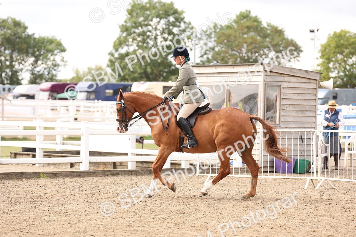 SBM_04259 - Class 54 - Riding Club Horse/Pony