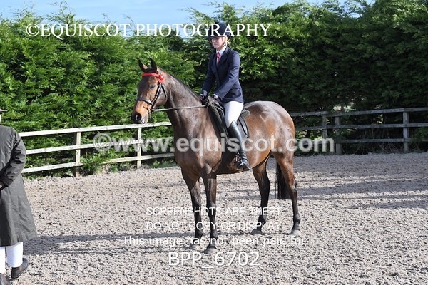 BPP_6702 - RING 1  (RIDDEN HORSES / IN HAND / VETERAN ETC)