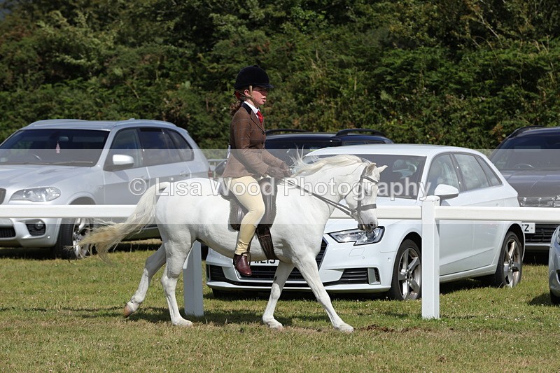 1X9A5681 - Class 40: NPS Welsh A & B