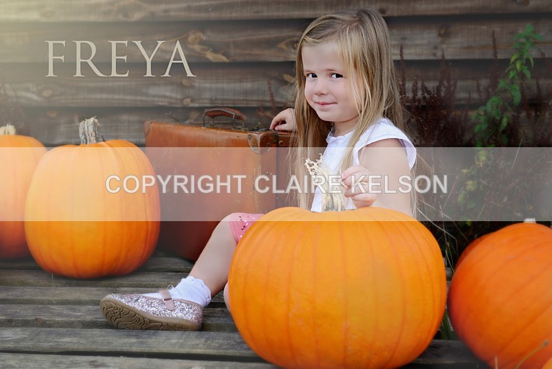 DSC_8683-3A - SEASONAL OUTDOOR SHOOTS - PUMPKINS