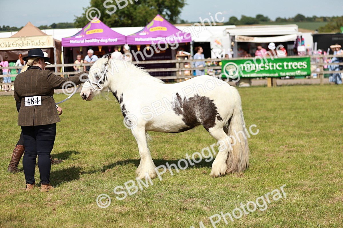 SBM_08619 - Class 63-65 - Traditional Gypsy Cobs In Hand & Ridden