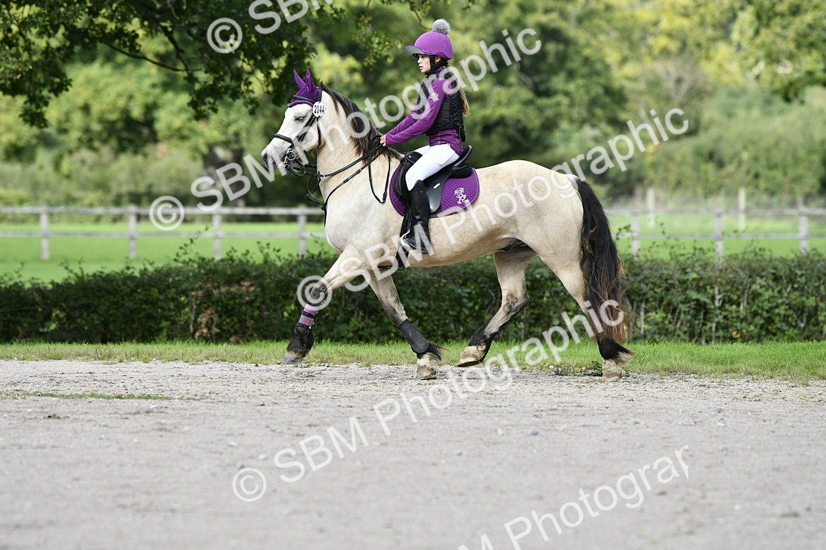 SBM_16289 - E4b - Eventers Challenge 60cm Open