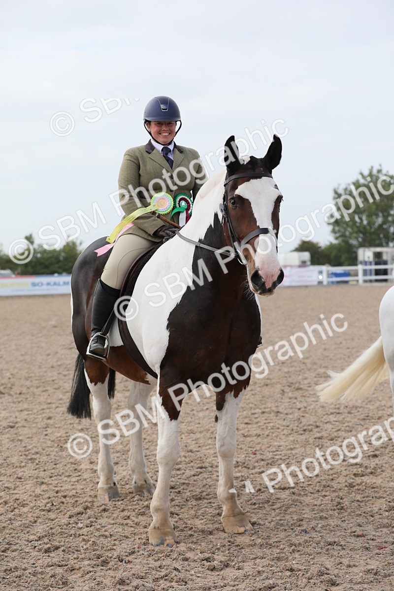 SBM_17053 - Class 314 Family Horse/Pony