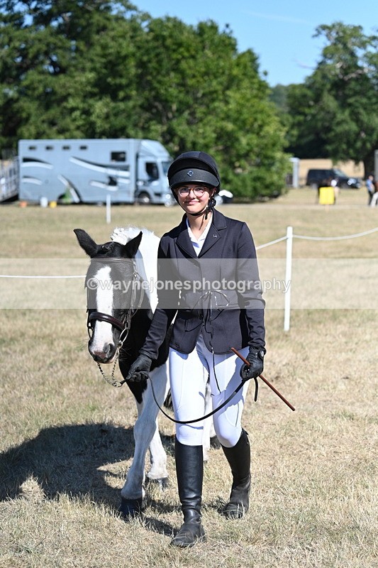 WJ7_1824 - Class 43 Best Six Legs (In hand)