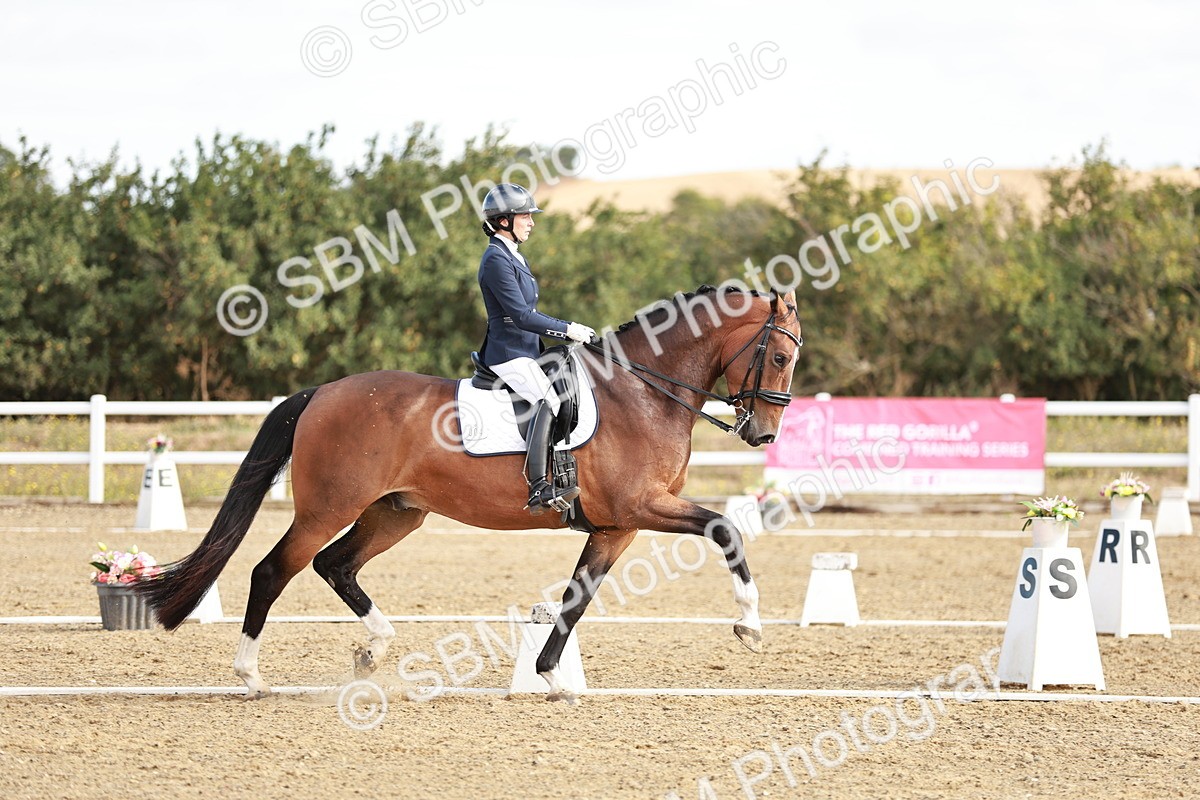 SBM_008732