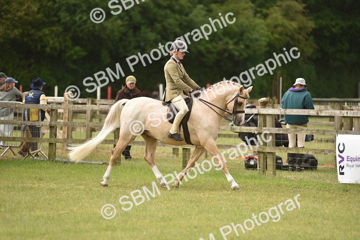 SBM_12091 - Class 110-112 - LIHS BSPS Performance Pones