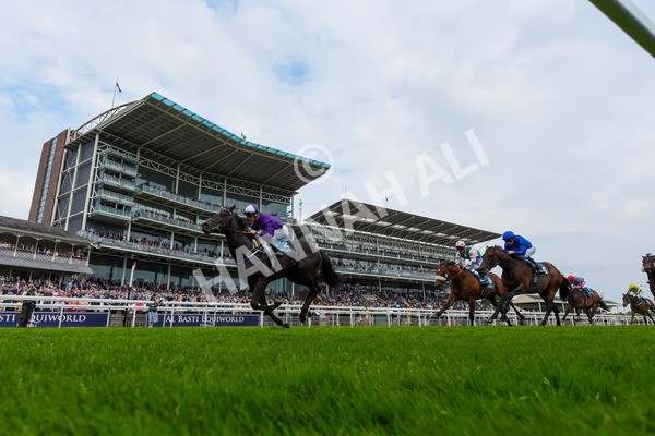 180523-Race 6-Cuban Thunder-4273 - Race 6 4.45pm Frank Whittle Partnership ebfstallions.com Maiden Stakes