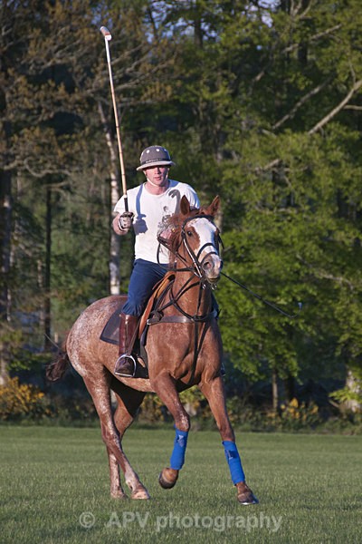 _DSC8283 - POLO Training