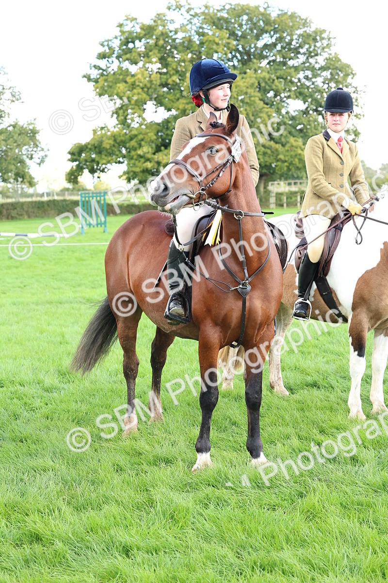 SBM_45571 - S33 - Working Hunter Pony