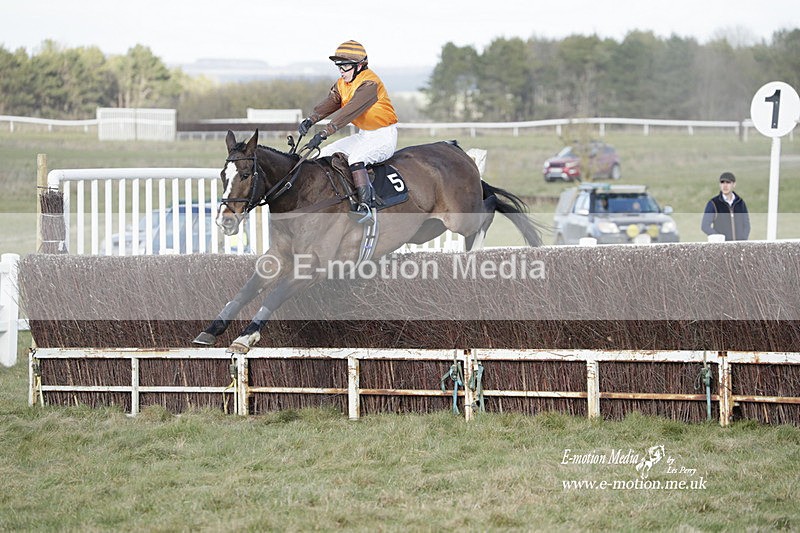 PtP 260223 967 - South & West Wilts Point-to-Point Larkhill 26/02/23