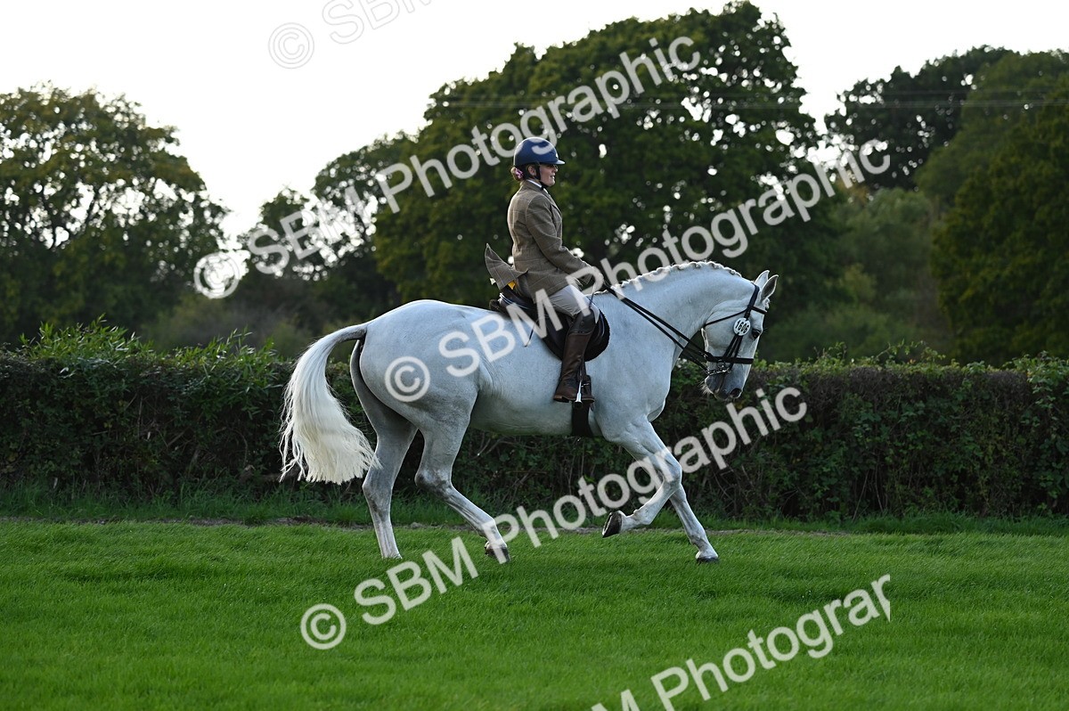 SBM_26516 - S6 - Novice & newcomer Ridden horse