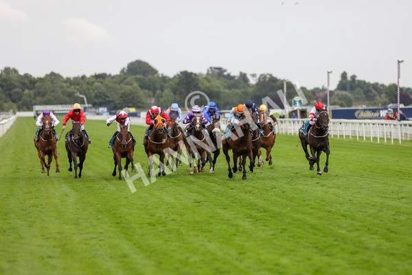 120724-Race 6-The Coffee Pod-1801 - Race 6 4.55pm Irish Thoroughbred Marketing Handicap