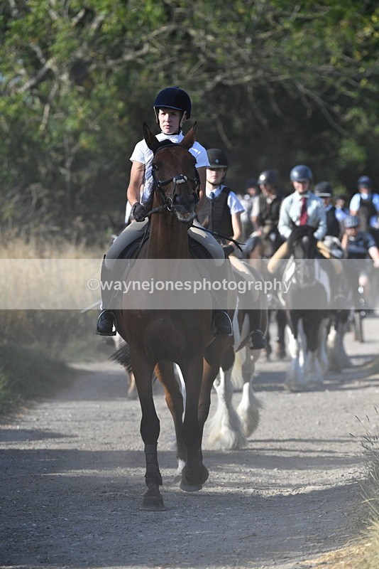 WJ5_4944 - Walk out with the hounds