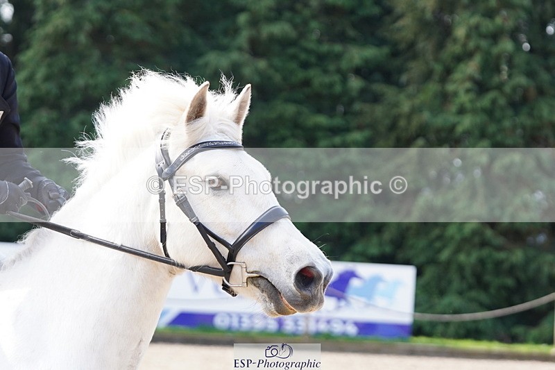 250420A-102306-00338 - Cls 02 70cm