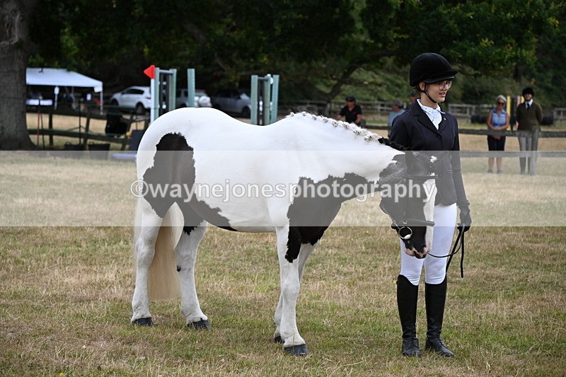 WJ6_4240 - Class 10 Coloured In-hand