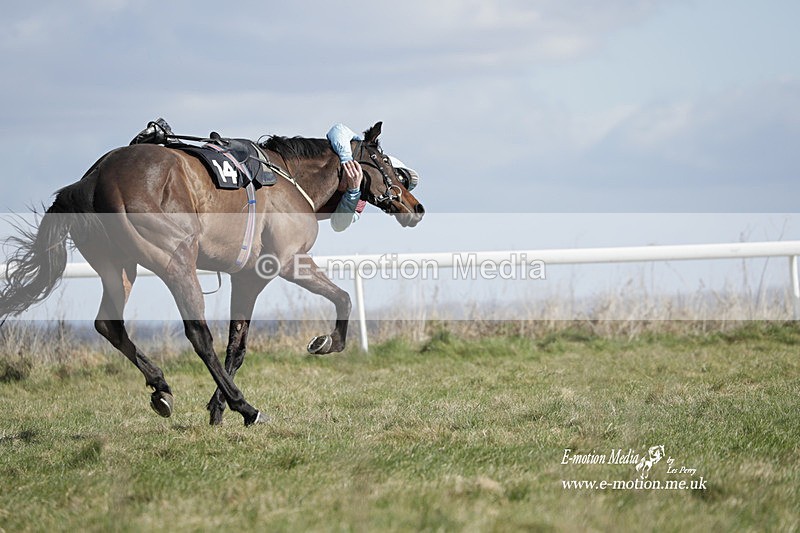 PtP 260223 504 - South & West Wilts Point-to-Point Larkhill 26/02/23