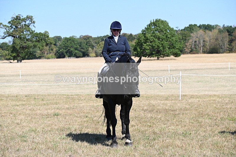 WJ6_8413 - Class 37a Best Loan Pony Ridden