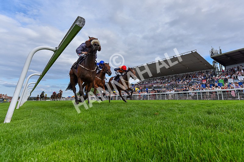 300826-Race 6-Court Legend-6706 - Race 6 4.30pm Return Of The Legend Martin Spencer Nursery Handicap