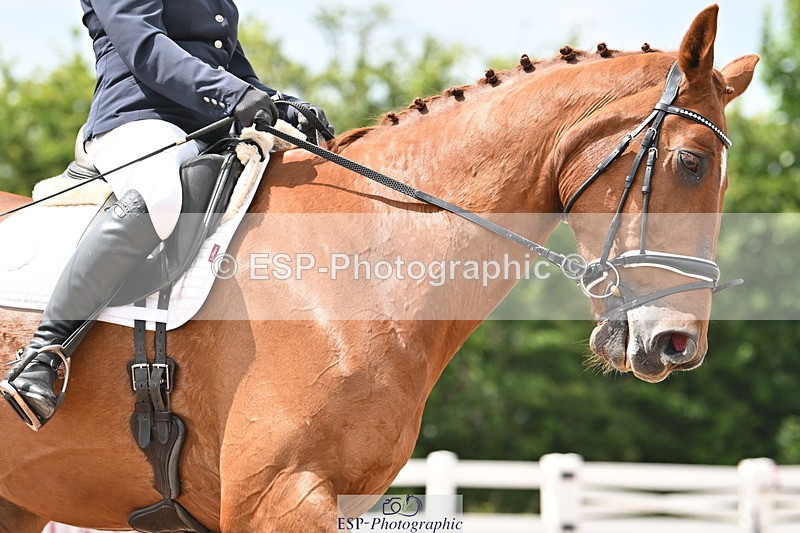 240621A-144740-04024 - Cls 11 BD Medium 73